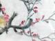 6月末什么星座（6月什么星座）