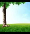 属牛白羊男的性格特点（让白羊男离不开你的方法）