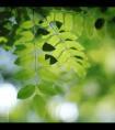 5月九号是什么星座（5月9日生是什么星座）