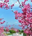 星座3月（星座怎么查才最准确）